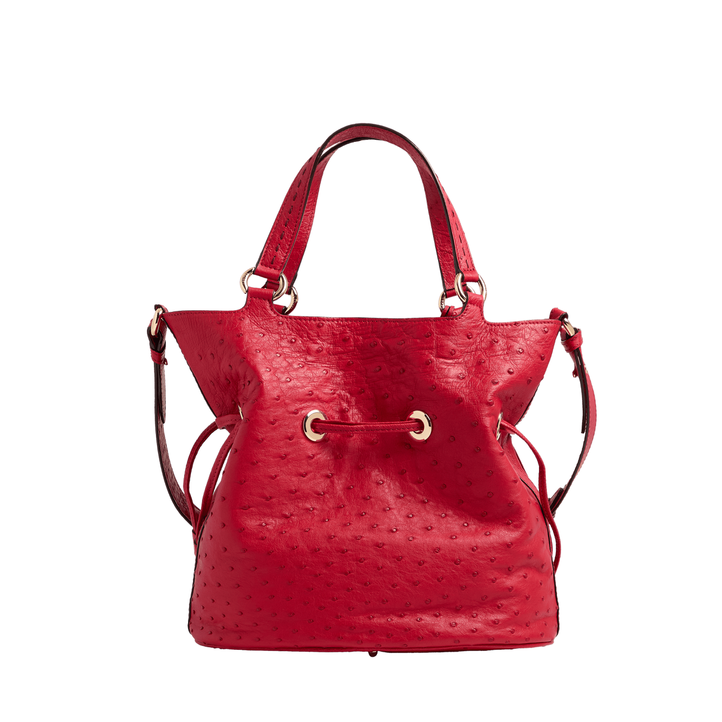 PREMIER FLIRT OSTRICH 3