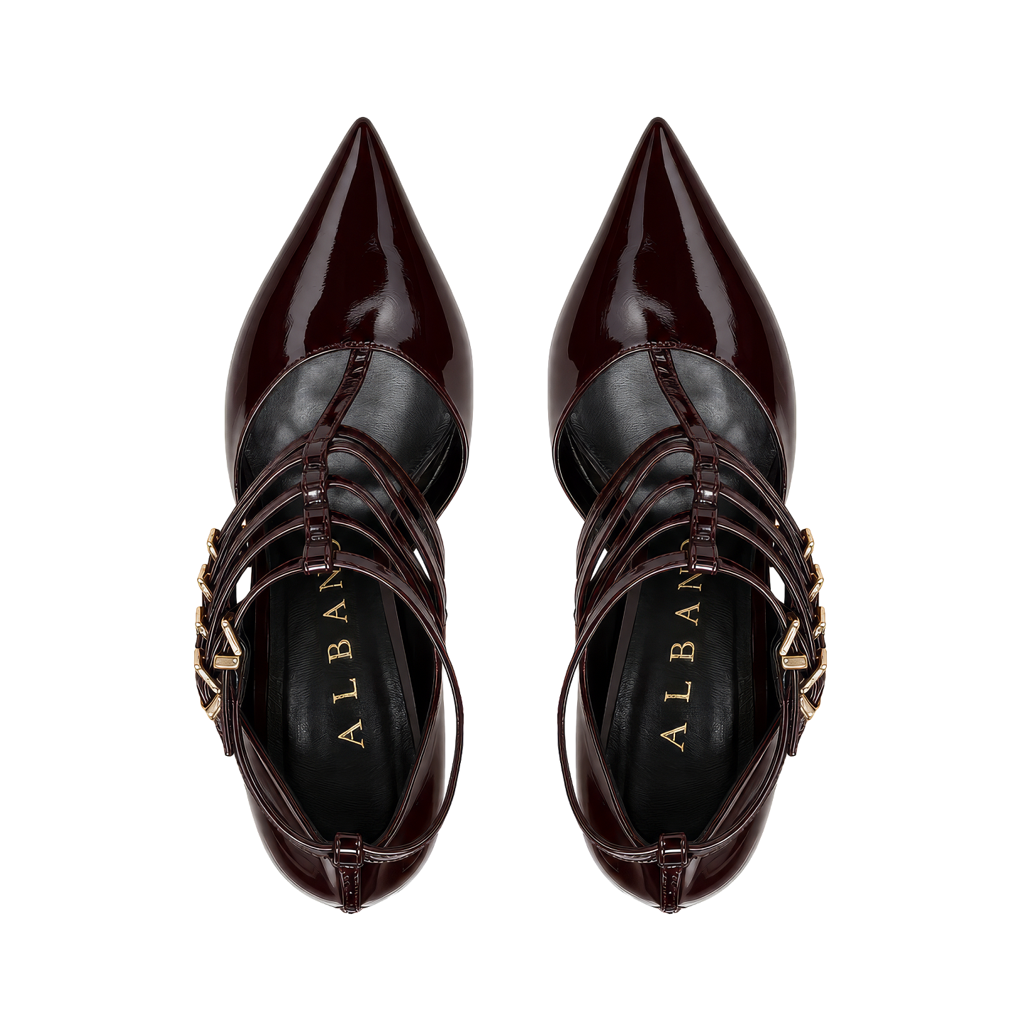 STRAPS PUMP PATENT 3