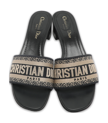Dway Logo Embroidered Blue/Beige Fabric Slide Sandals